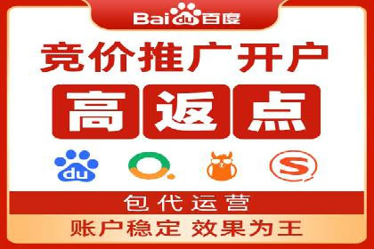 竞价推广策略：某电商平台的成功案例